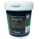 VERDERAME Wall Painting Fondo