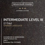 2-Day Intermediate III Course (Spanish)